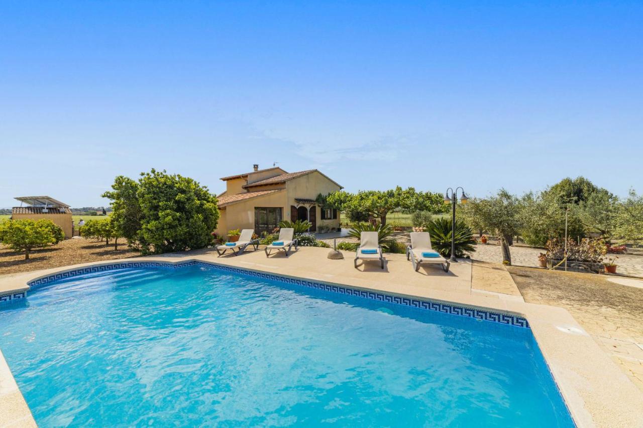 Villa Vernissa Санта-Маргарита Экстерьер фото